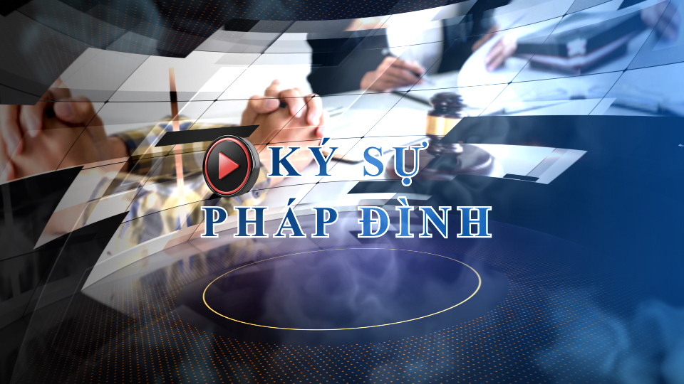 Bản tin Ký sự Pháp đình (ngày 13/6/2025): Khắc phục hậu quả hàng ngàn tỉ: Không còn là cá biệt trong các đại án kinh tế

