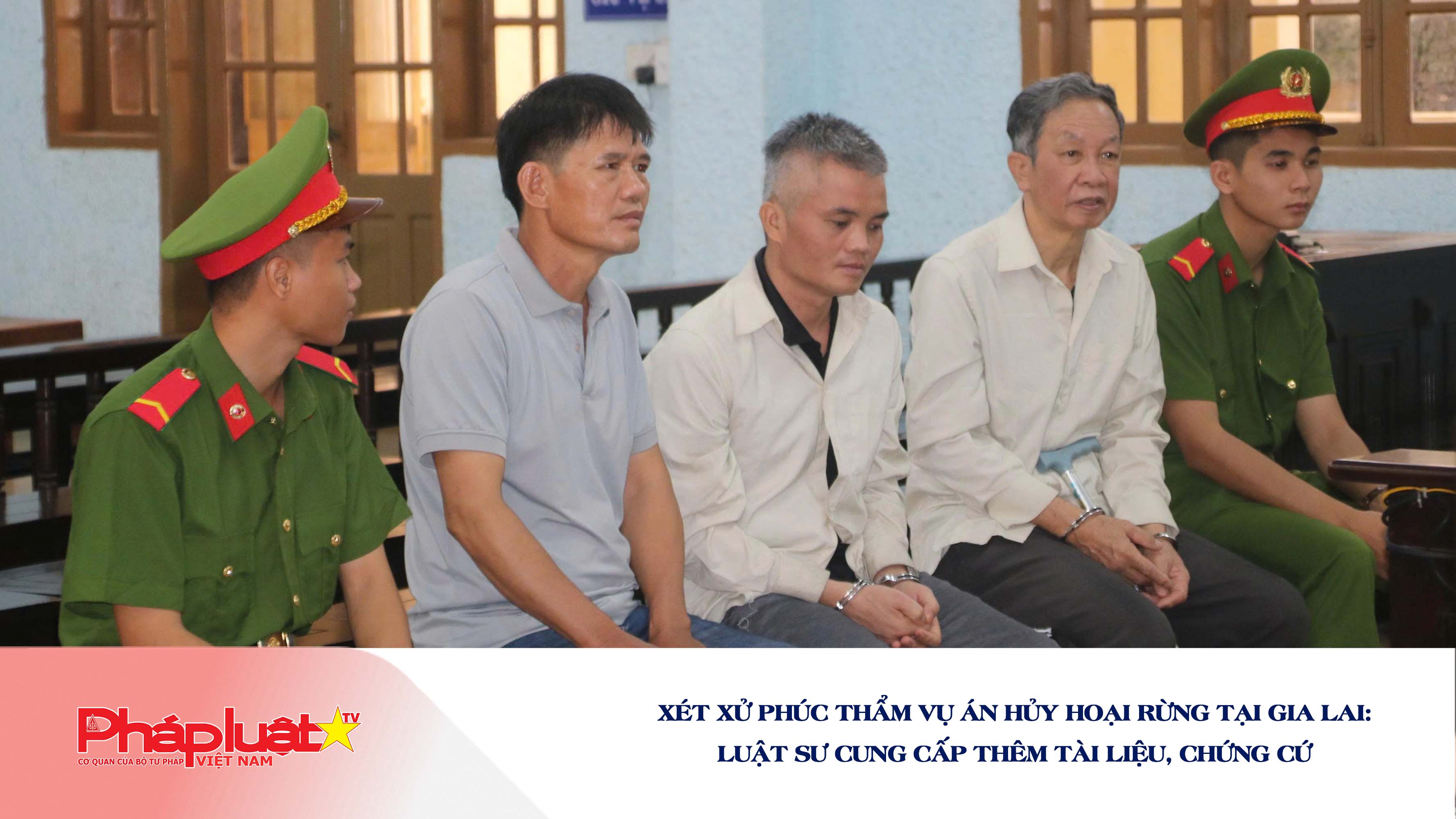 Xét xử phúc thẩm vụ án hủy hoại rừng tại Gia Lai: Luật sư cung cấp thêm tài liệu, chứng cứ