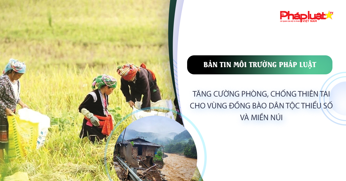Bản tin Môi trường Pháp luật (ngày 5/2/2026): Tăng cường phòng, chống thiên tai cho vùng đồng bào dân tộc thiểu số và miền núi.