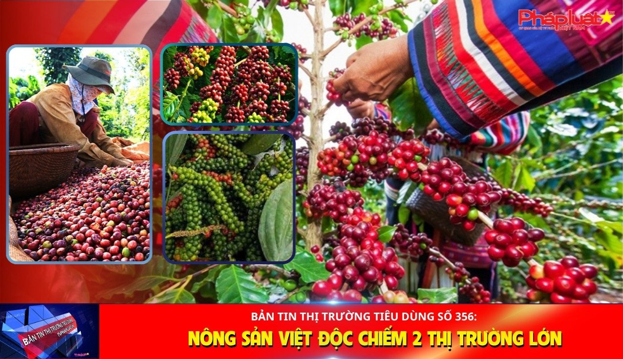 Bản tin Thị trường Tiêu dùng số 356: Nông sản Việt độc chiếm 2 thị trường lớn
