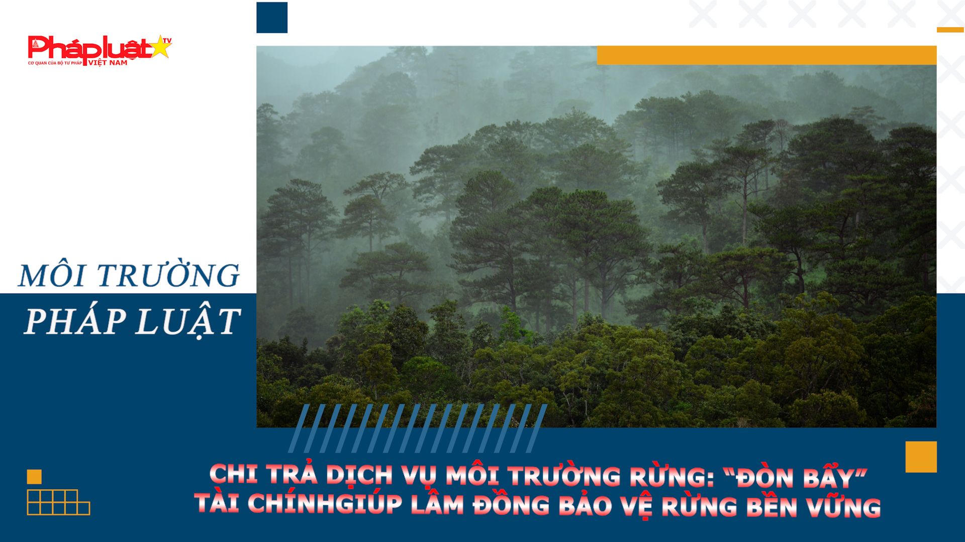 Bản tin Môi trường Pháp luật (ngày 2/7/2026): Chi trả dịch vụ môi trường rừng: “đòn bẩy” tài chính giúp Lâm Đồng bảo vệ rừng bền vững