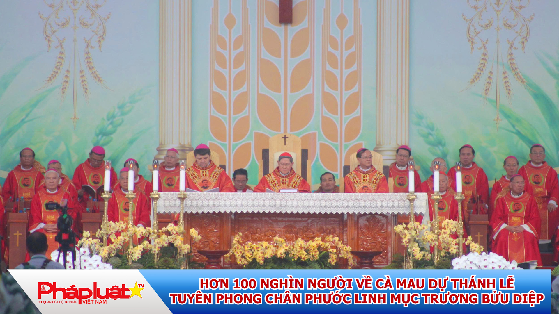 Hơn 100 nghìn người về Cà Mau dự Thánh lễ Tuyên phong Chân phước linh mục Trương Bửu Diệp.