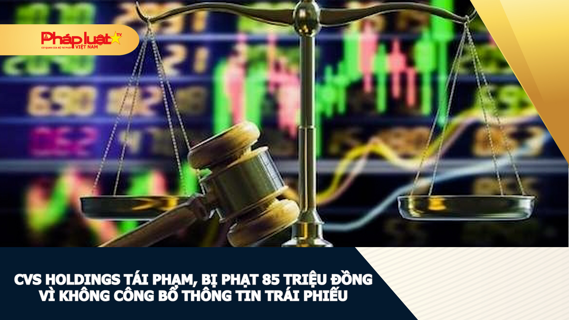 CVS Holdings tái phạm, bị phạt 85 triệu đồng vì không công bố thông tin trái phiếu