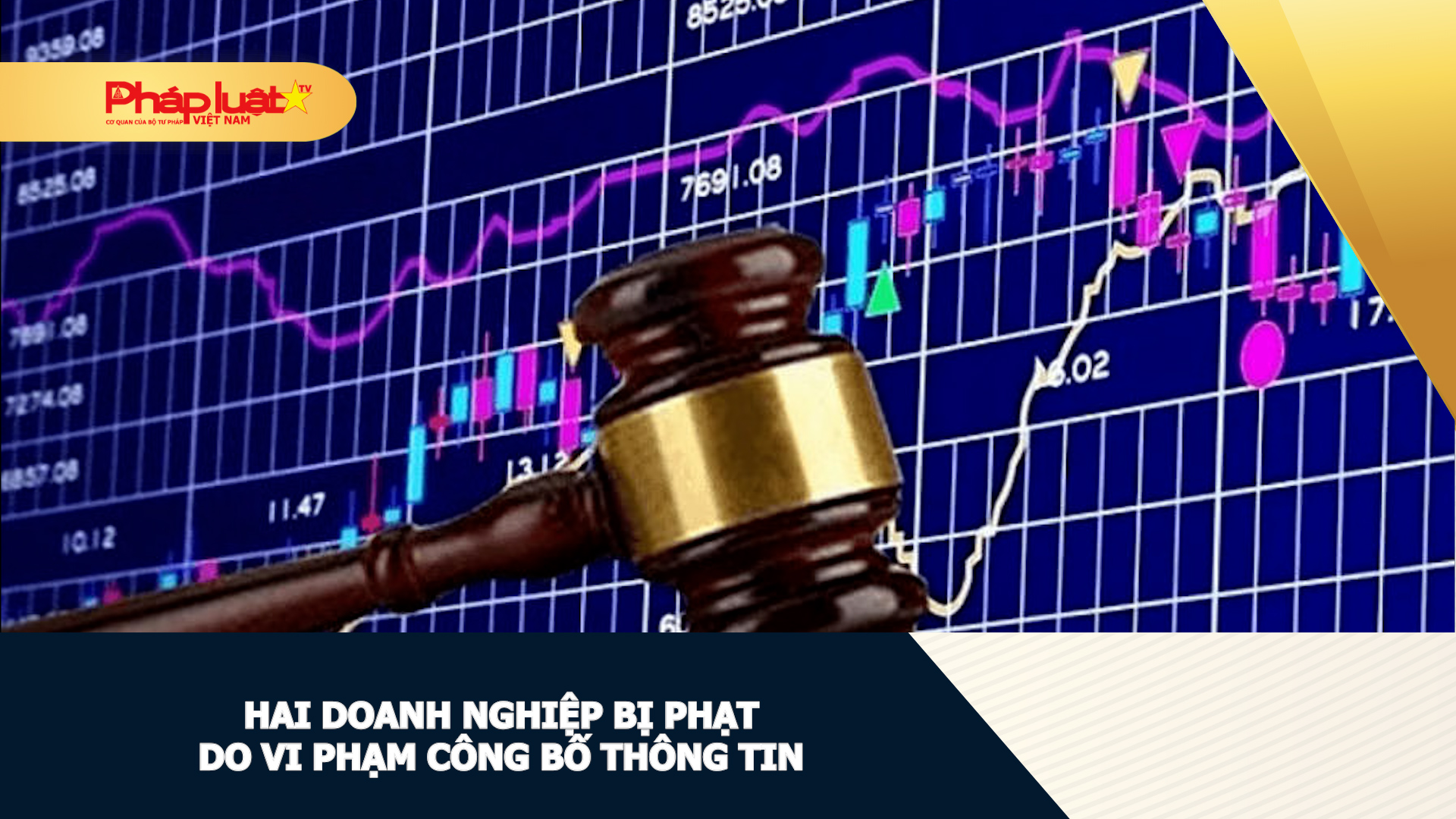 Hai doanh nghiệp bị phạt do vi phạm công bố thông tin