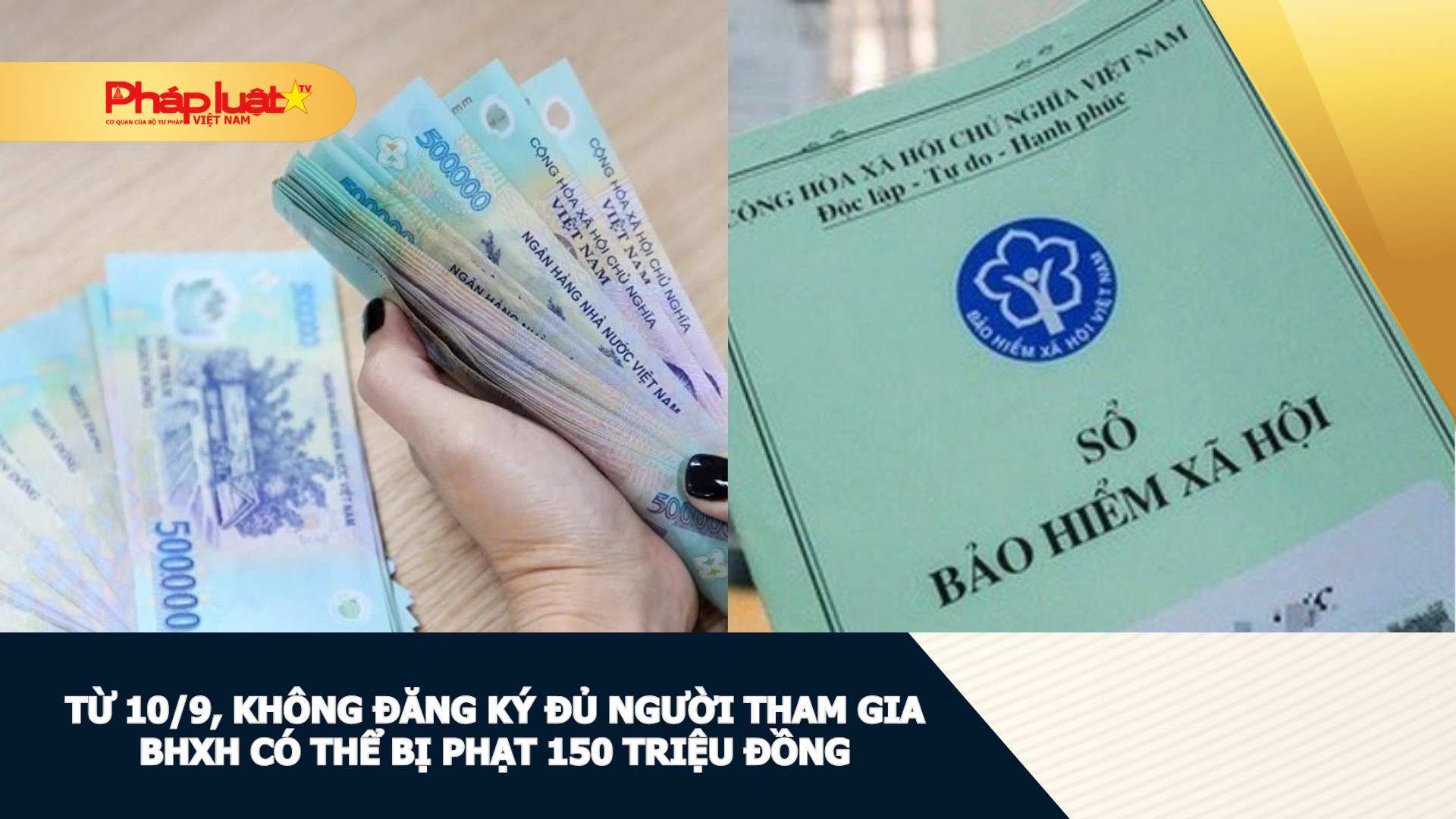 Từ 10/9, không đăng ký đủ người tham gia BHXH có thể bị phạt 150 triệu đồng