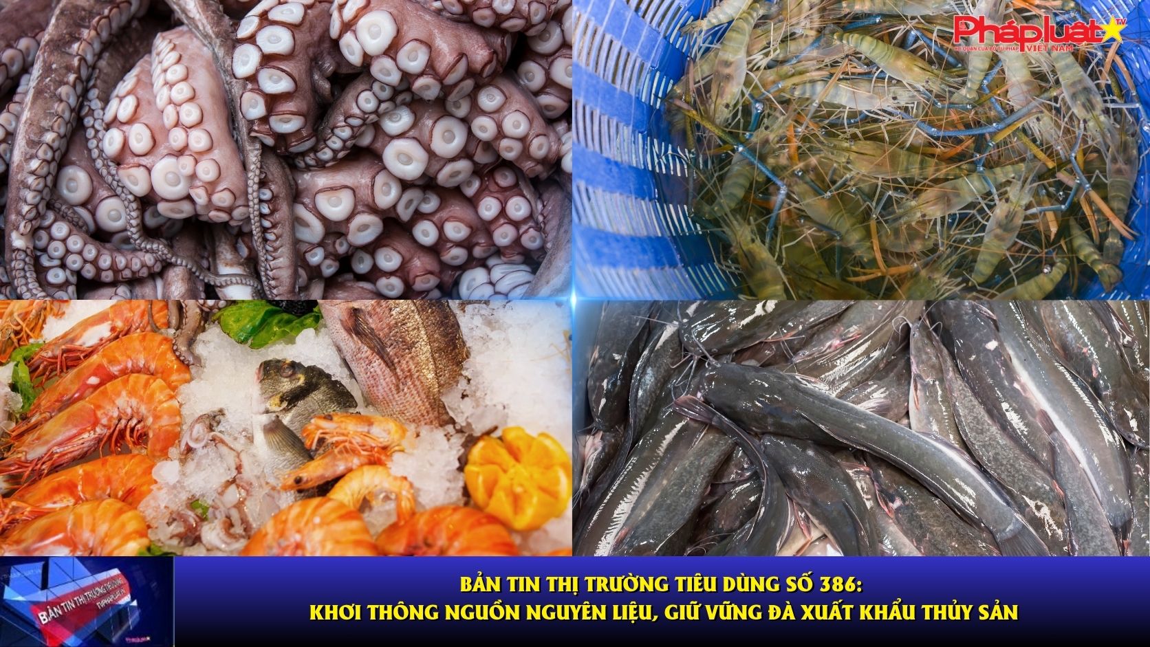  Bản tin Thị trường Tiêu dùng số 386: Khơi thông nguồn nguyên liệu, giữ vững đà xuất khẩu thủy sản