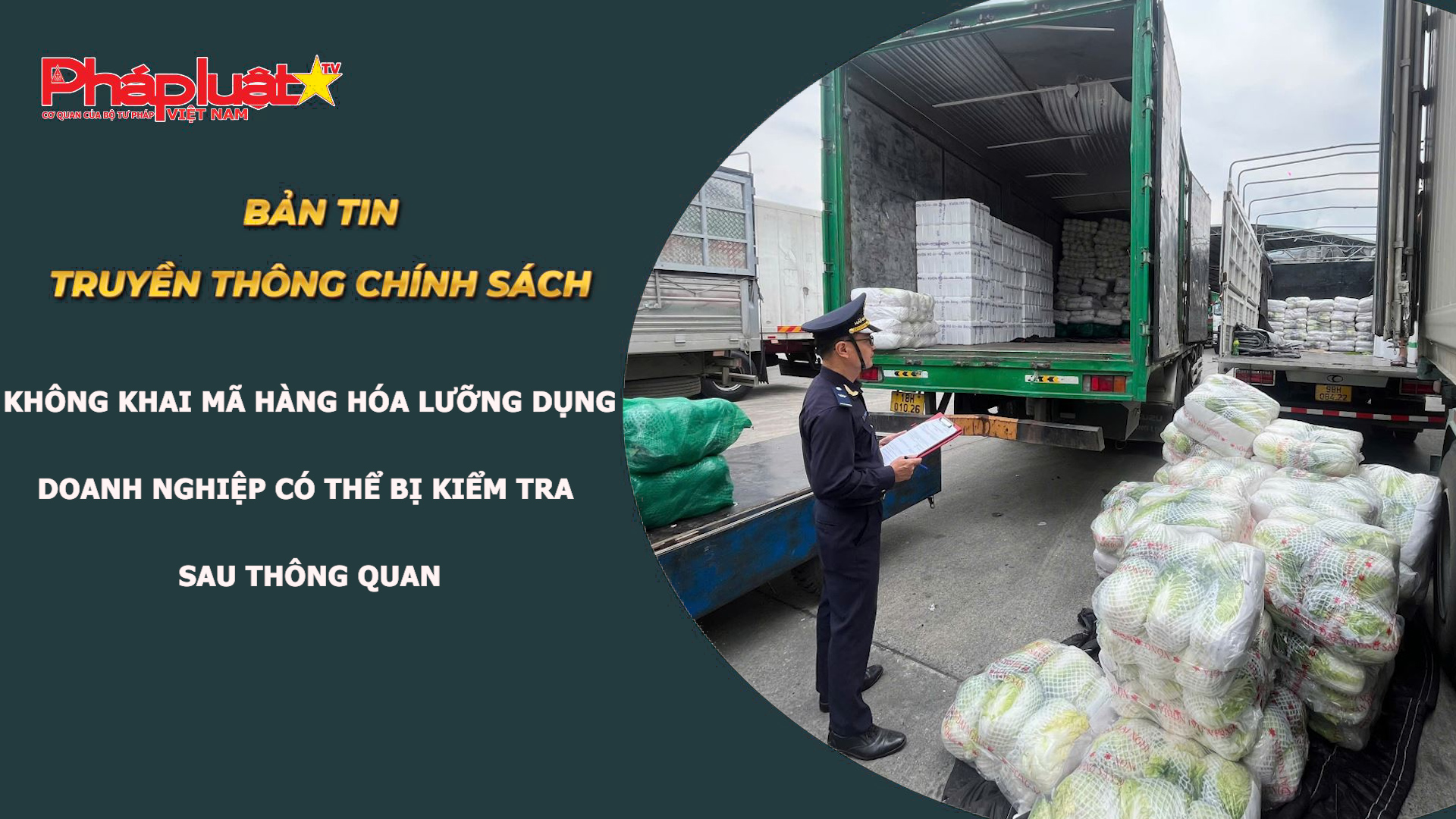 Bản tin Truyền thông chính sách (ngày 12/8/2026): Không khai mã hàng hóa lưỡng dụng, doanh nghiệp có thể bị kiểm tra sau thông quan