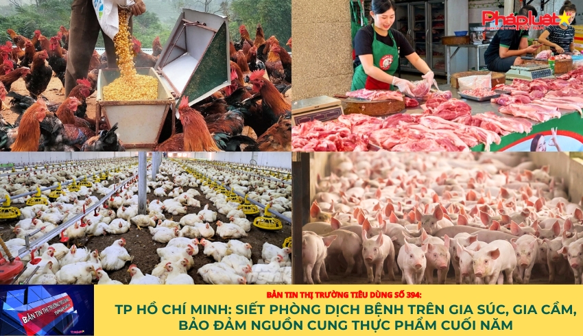 Bản tin Thị trường Tiêu dùng số 394: TP Hồ Chí Minh: Siết phòng dịch bệnh trên gia súc, gia cầm,bảo đảm nguồn cung thực phẩm cuối năm