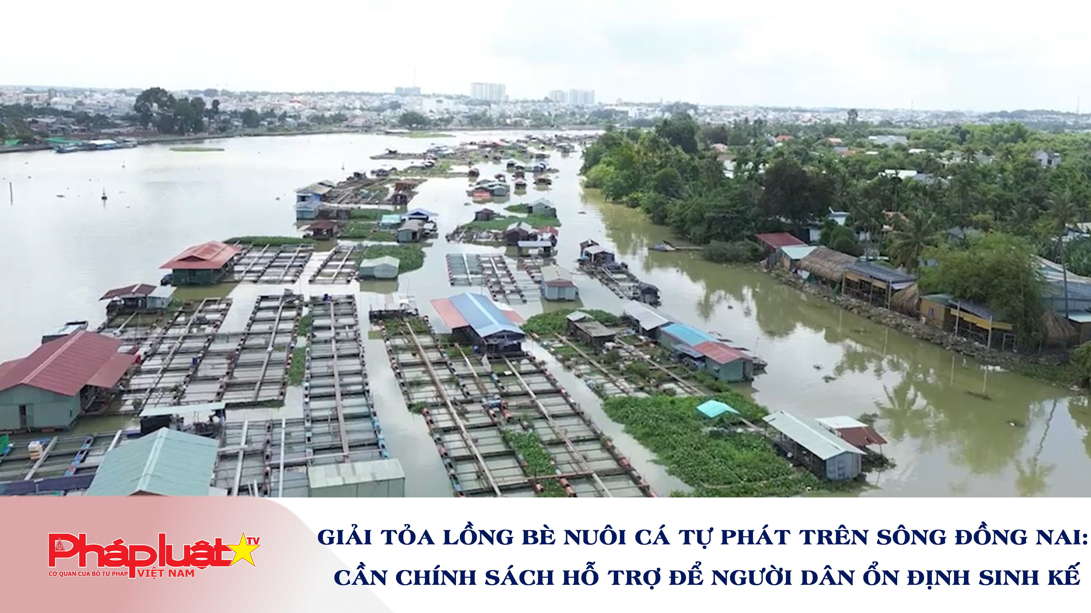 Giải tỏa lồng bè nuôi cá tự phát trên sông Đồng Nai: Người dân mong được hỗ trợ chuyển đổi sinh kế