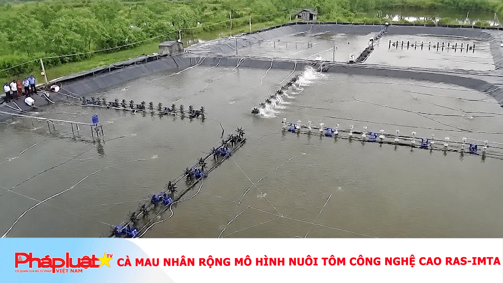 Cà Mau nhân rộng mô hình nuôi tôm công nghệ cao RAS-IMTA

