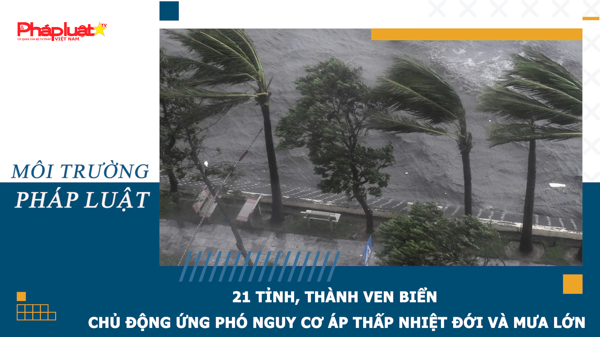 Bản tin Môi trường Pháp luật (ngày 10/9/2026): 21 tỉnh, thành ven biển chủ động ứng phó nguy cơ áp thấp nhiệt đới và mưa lớn


