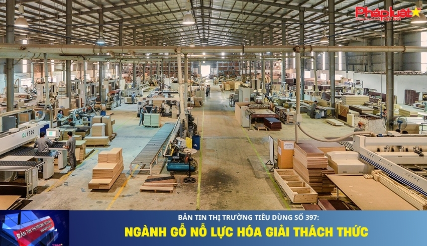 Bản tin Thị trường Tiêu dùng số 397: Ngành gỗ nỗ lực hóa giải thách thức