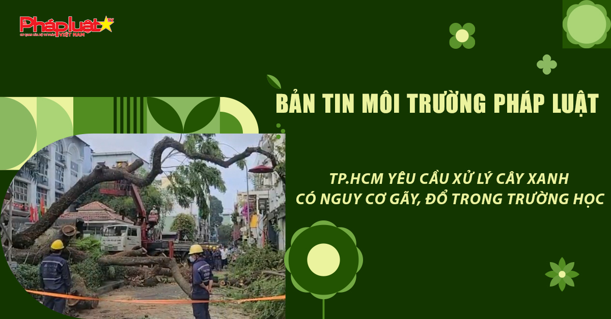 Bản tin Môi trường Pháp luật (ngày 24/9/2026): TP.HCM yêu cầu xử lý cây xanh có nguy cơ gãy, đổ trong trường học