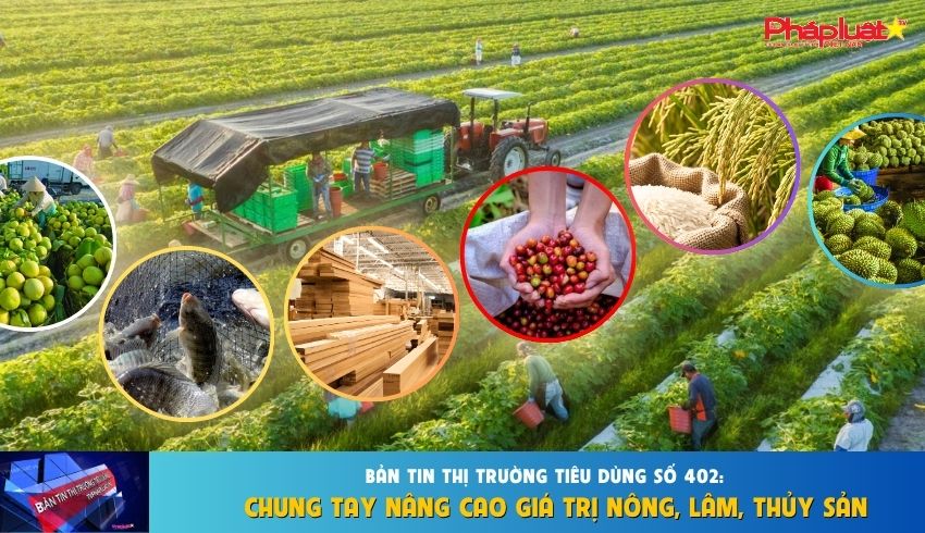 Bản tin Thị trường Tiêu dùng số 402: Chung tay nâng cao giá trị nông, lâm, thủy sản