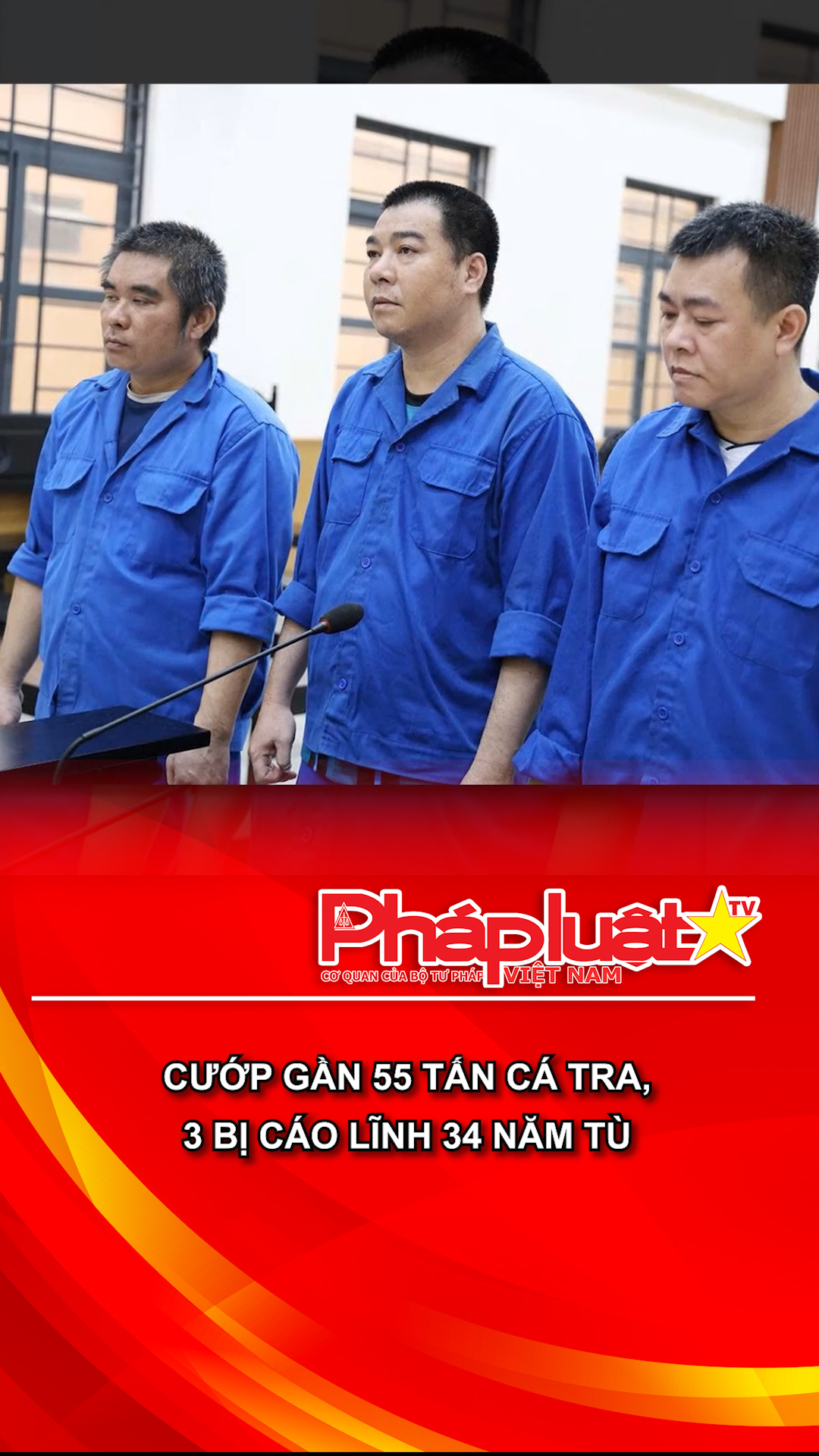 Cướp gần 55 tấn cá tra, 3 bị cáo lĩnh 34 năm tù
