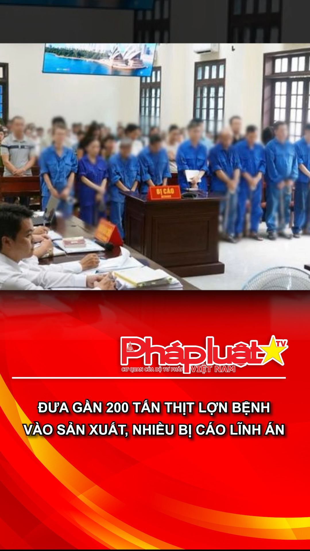 Đưa gần 200 tấn thịt lợn bệnh vào sản xuất, nhiều bị cáo lĩnh án
