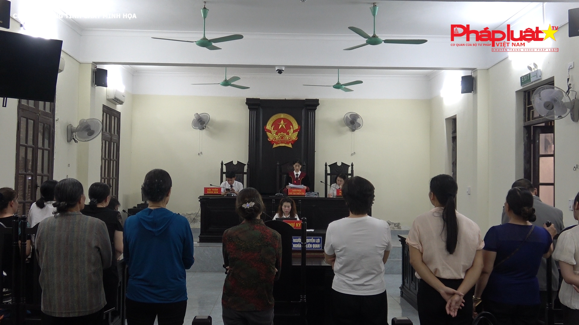 Từ 1/10, Toà án phải công khai thông tin thụ lý vụ án, phiên tòa, bản án có hiệu lực