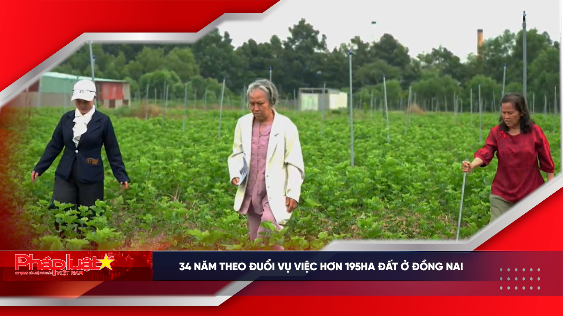 34 năm theo đuổi vụ việc hơn 195ha đất ở Đồng Nai