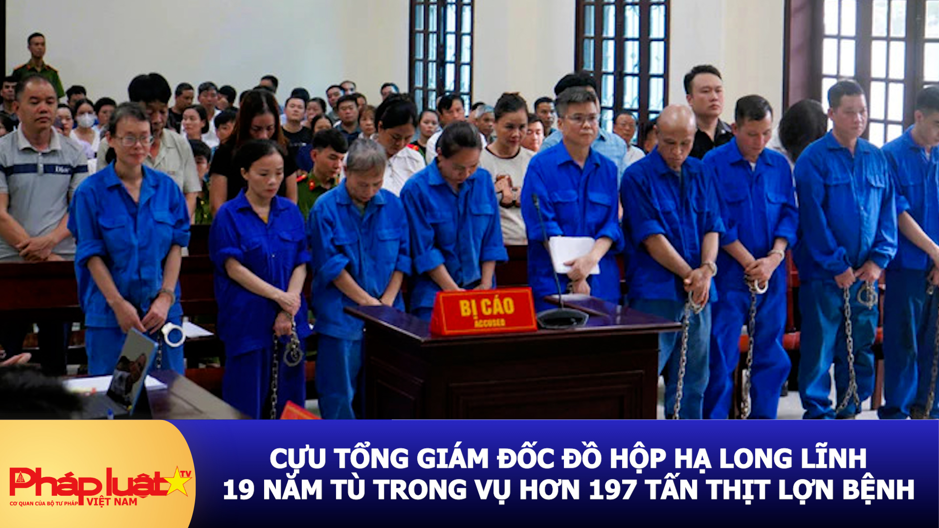 Cựu Tổng Giám đốc Đồ hộp Hạ Long lĩnh 19 năm tù trong vụ hơn 197 tấn thịt lợn bệnh