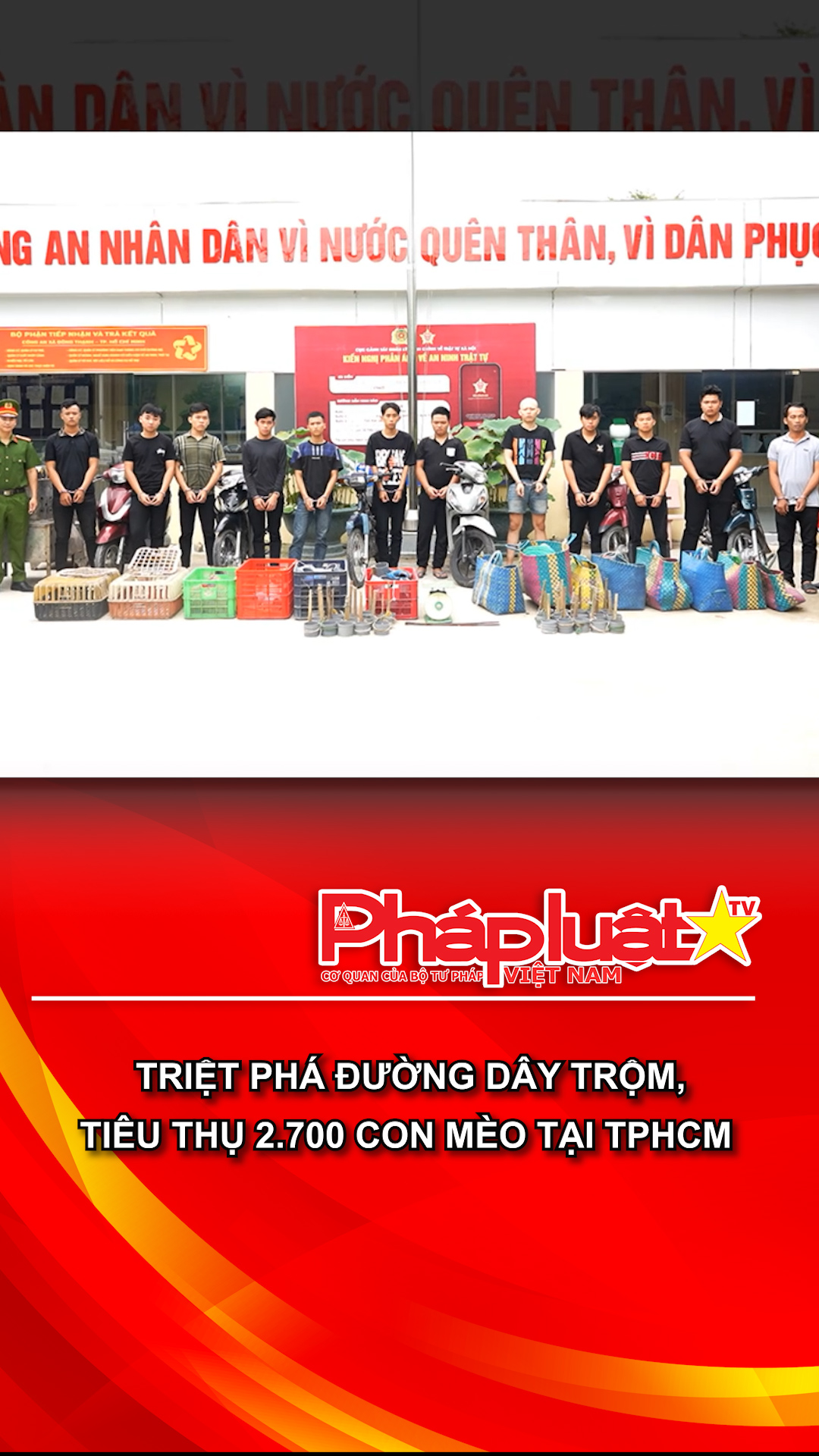 Triệt phá đường dây trộm, tiêu thụ 2.700 con mèo tại TPHCM