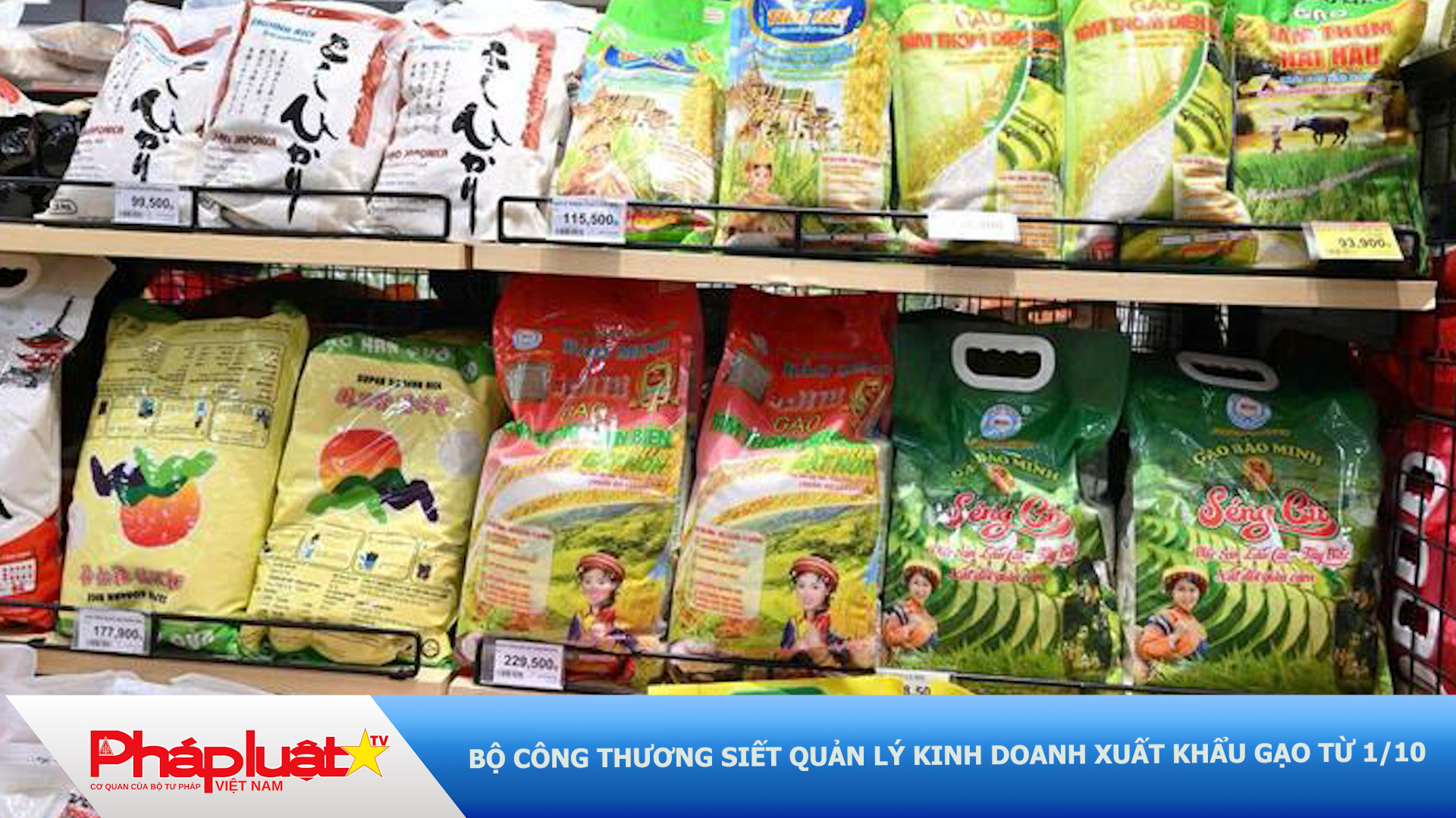 Bộ Công Thương siết quản lý kinh doanh xuất khẩu gạo từ 1/10