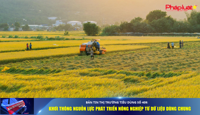 Bản tin Thị trường Tiêu dùng số 409: Khơi thông nguồn lực phát triển nông nghiệp từ dữ liệu dùng chung