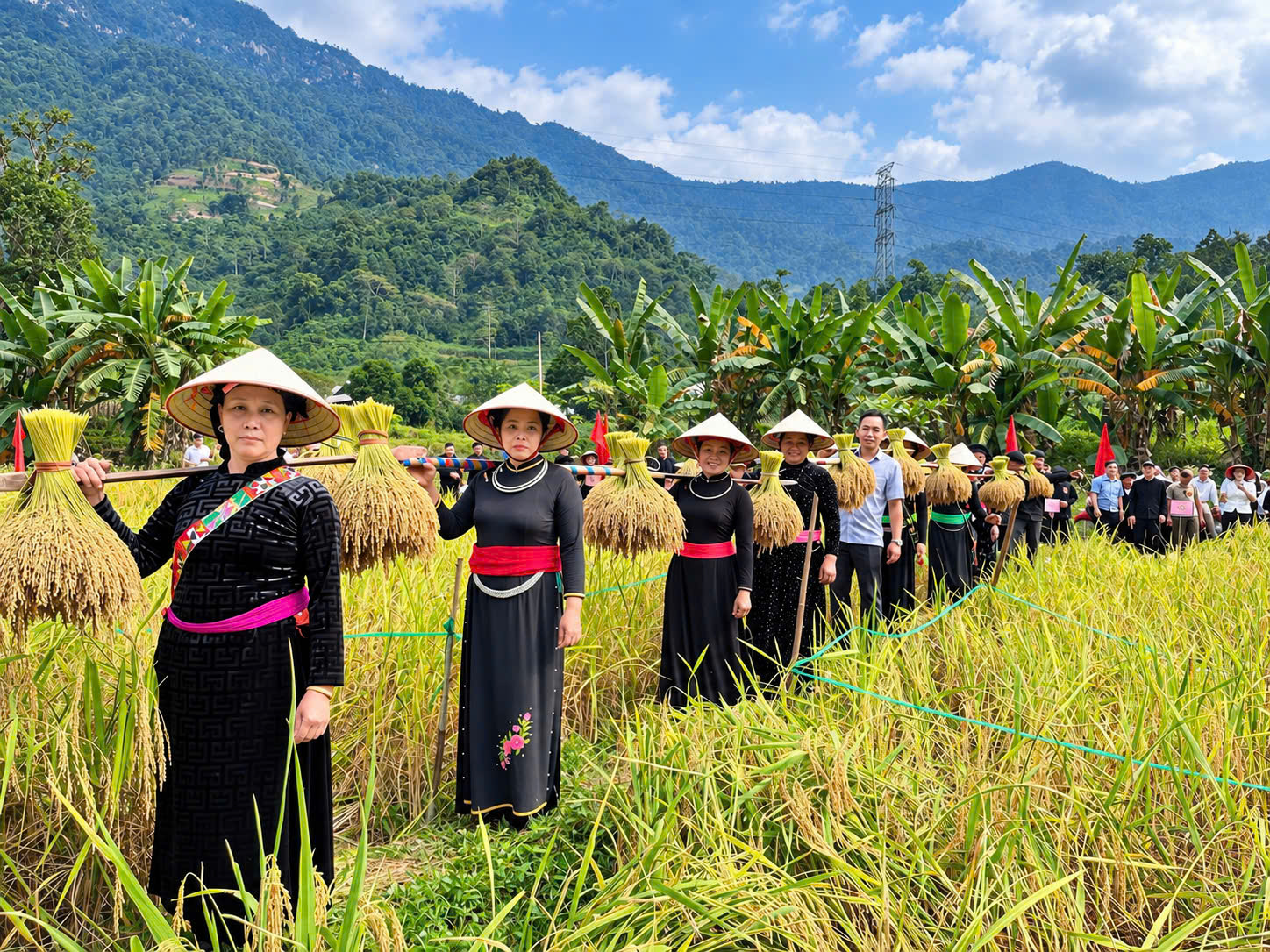 Bắc Mê: Gìn giữ bản sắc văn hóa từ hội thi cắt lúa nếp, giã bánh giầy